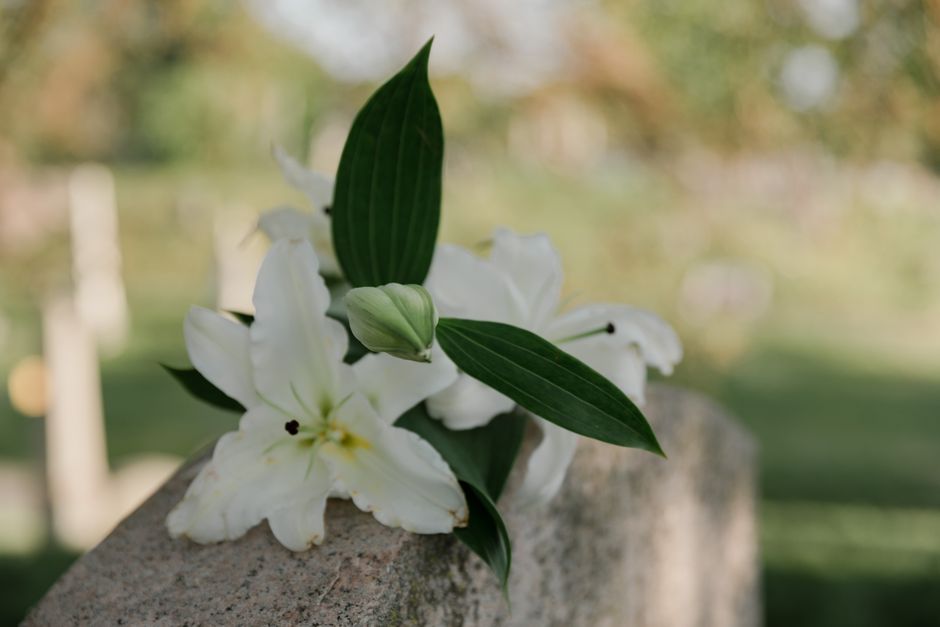 A cluster of white lilies with large, trumpet-shaped petals and dark anthers, complemented by glossy green leaves and a small, closed lily bud, resting on a rough stone surface outdoors. The lilies ar